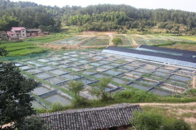 特种水产养殖示范基地项目可行性研究报告